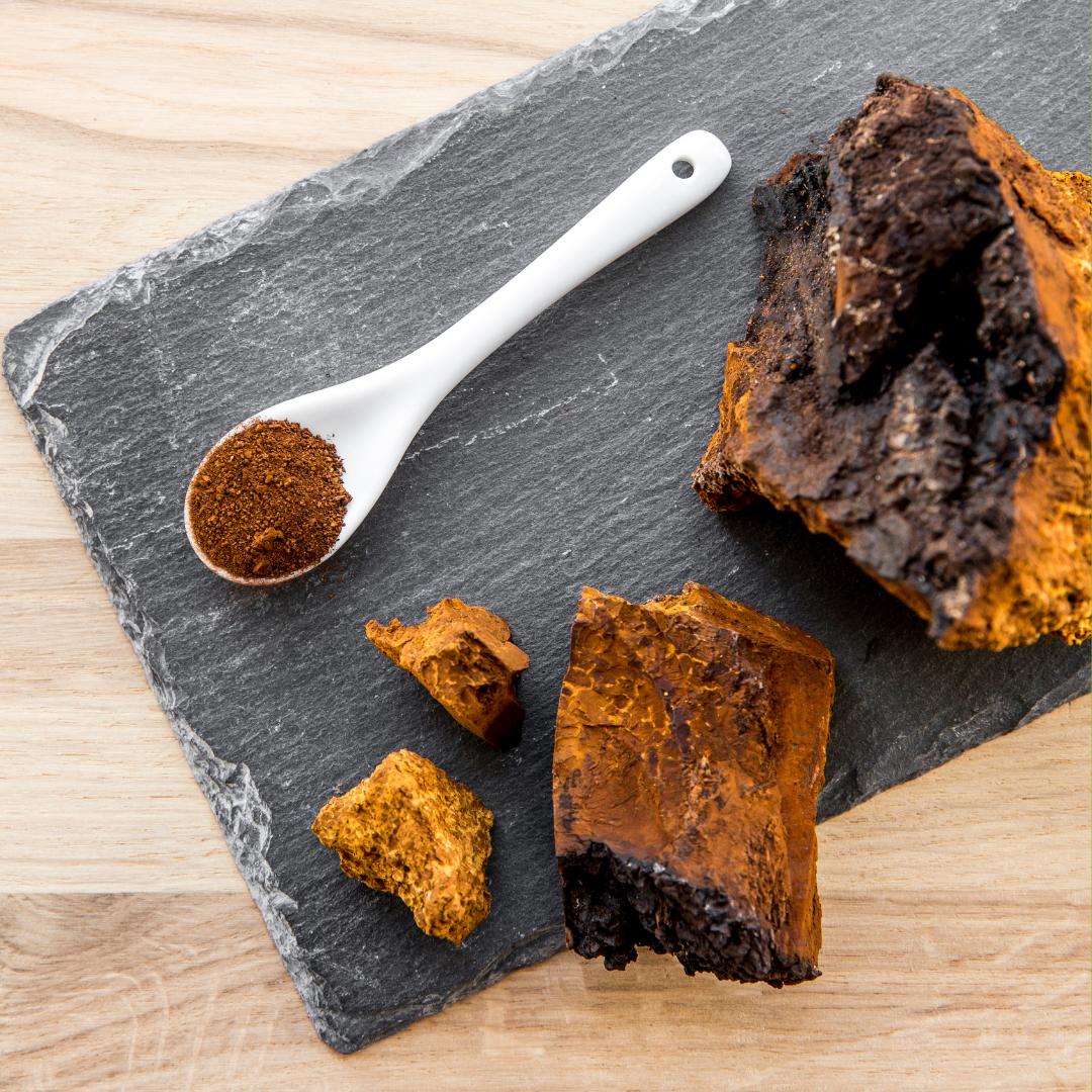Unveiling the Functional Marvel: Chaga Mushroom