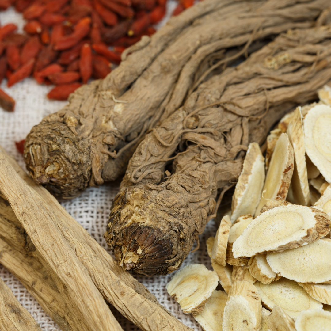 Astragalus: Your Gateway to Optimal Health