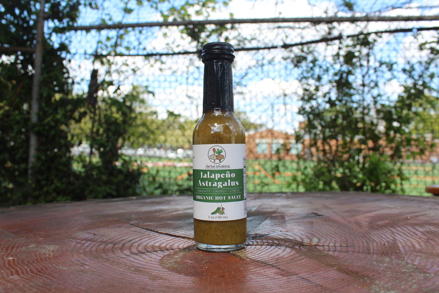 Jalapeno Astragalus Hot Sauce