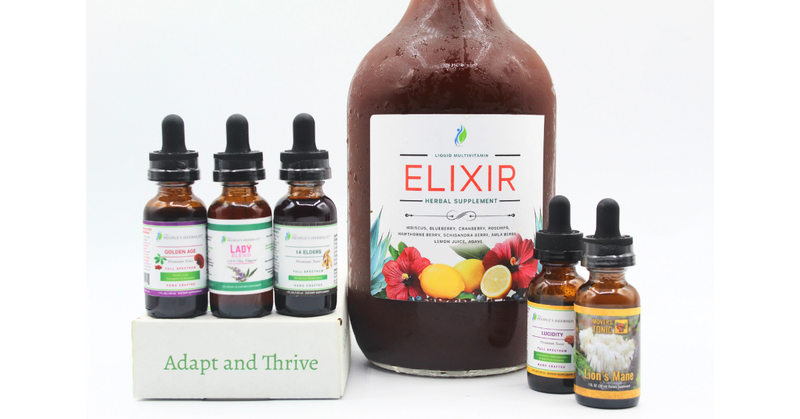 Best Adaptogens for Energy Without the Crash
