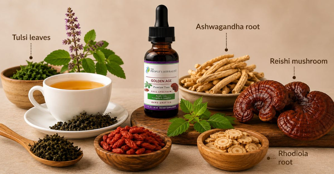 7 Adaptogens for Stress Relief That Actually Work