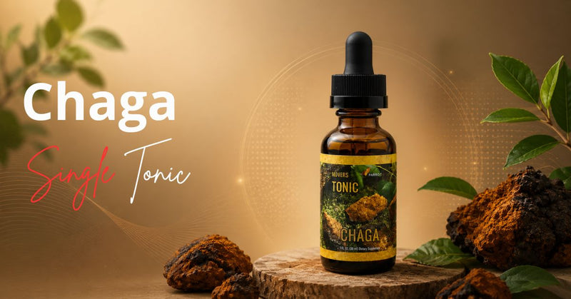 Chaga Mushroom Tincture: What It Is, How to Use It, and What to Expect