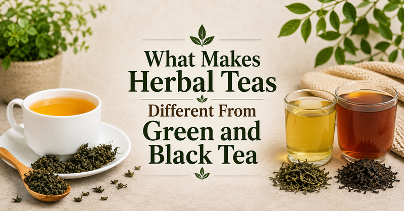 What Makes Herbal Teas Different From Green and Black Tea