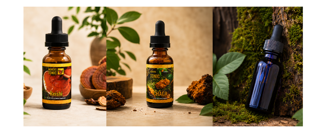 Lion's Mane vs. Reishi vs. Chaga: Which Medicinal Mushroom Is Right for You?