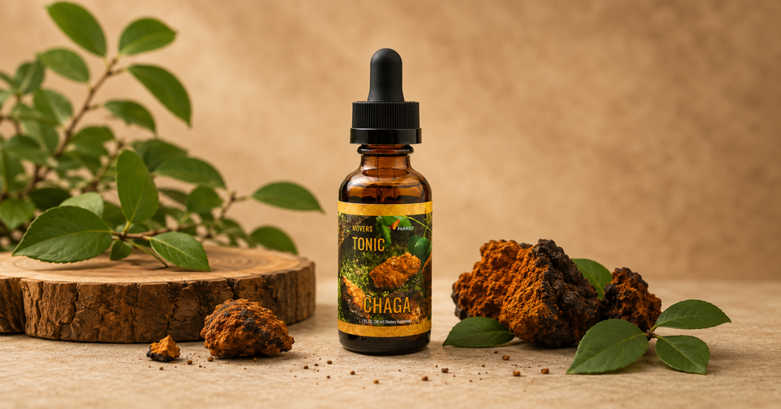 The Complete Guide to Medicinal Mushrooms: Lion's Mane, Reishi and Chaga