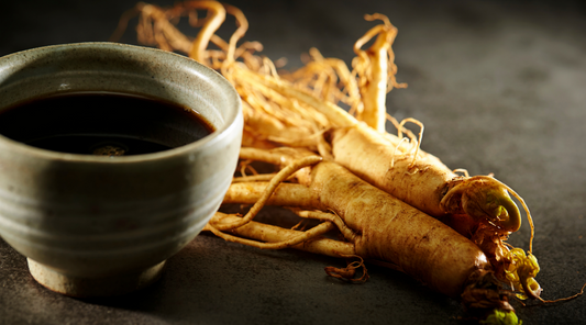 American Ginseng for Respiratory Wellness