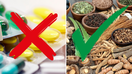 Embracing Adaptogens: 5 Reasons to Replace Over-the-Counter Drugs with Nature's Healing Allies