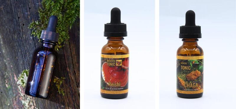 Lion's Mane vs. Reishi vs. Chaga: Which Medicinal Mushroom Is Right for You?