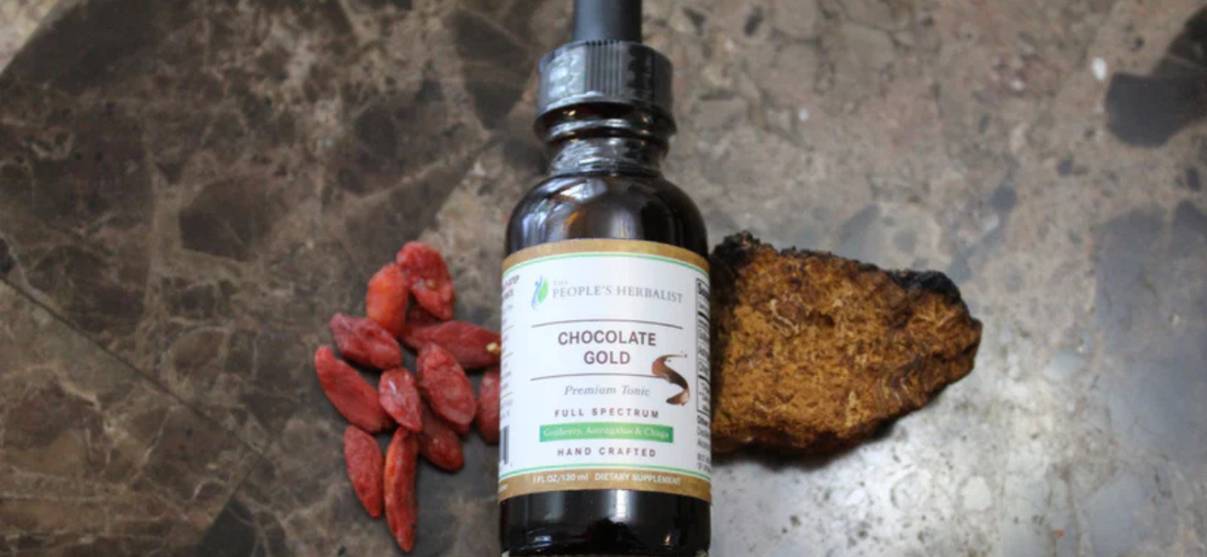 The Perfect Adaptogenic Hot Chocolate Recipe (Made With Chocolate Gold Tonic)