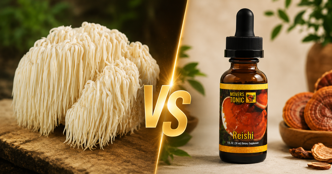 Lion's Mane vs Reishi: Which Mushroom Tonic Is Right for You?