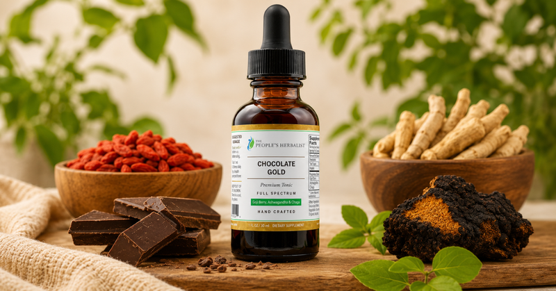 Best Adaptogens for Energy That Actually Work