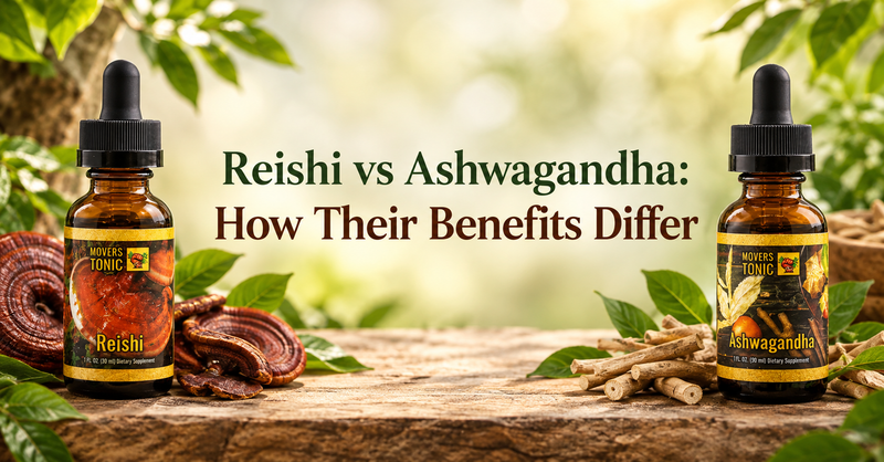Reishi vs Ashwagandha: How Their Benefits Differ