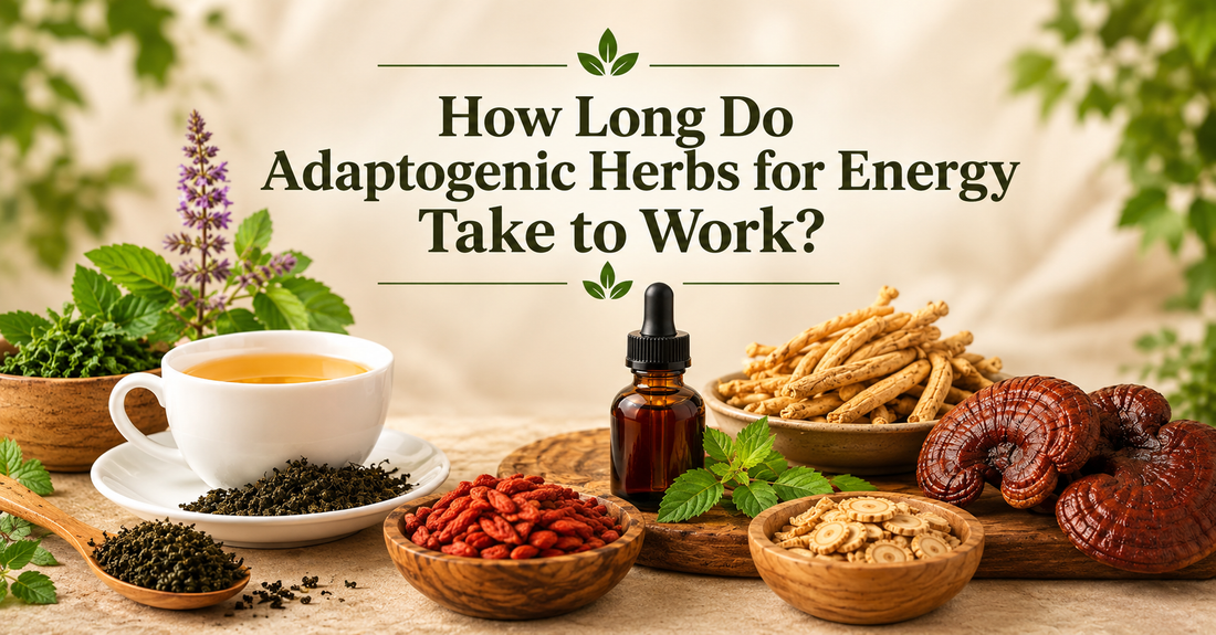 How Long Do Adaptogenic Herbs for Energy Take to Work?
