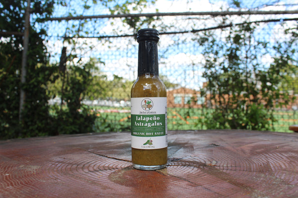 Jalapeno Astragalus Hot Sauce