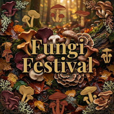 Fungi Festival