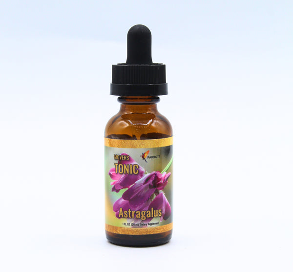 Astragalus Single Tonic