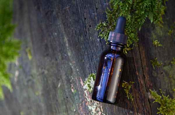 Lion's Mane Single Tonic