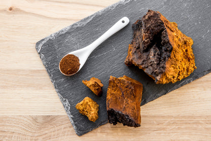 Chaga Single Tonic